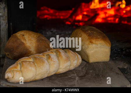 Backwaren: Brot gebacken in einem Holzofen Stockfoto