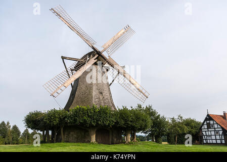 Niederländische Windmühle, Windmühle, Westfälische Mühlenstraße, Destel, Stemwede, Minden-Lübbecke, Nordrhein-Westfalen, Deutschland Stockfoto