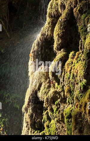 Frankreich, Drome, Ombleze, Gorges d'Ombleze, versteinerte Kaskaden des Flusses La Gervanne Stockfoto