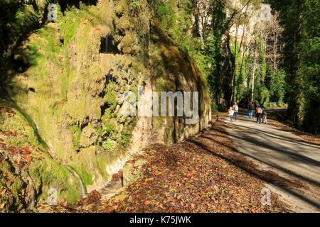 Frankreich, Drome, Ombleze, Gorges d'Ombleze, versteinerte Kaskaden des Flusses La Gervanne Stockfoto