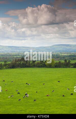 Irland, County Tipperary, Cashel, erhöhten Blick auf die Landschaft Stockfoto