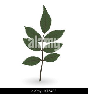 Bunte naturalistischen grüne Blätter am Zweig. Vector Illustration. Stock Vektor