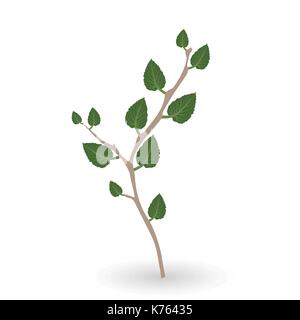 Bunte naturalistischen grüne Blätter am Zweig. Vector Illustration. Stock Vektor