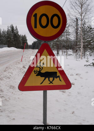 Schwedische Straßenschilder mit Reh und Geschwindigkeitsbegrenzung von 100 km/h. Stockfoto