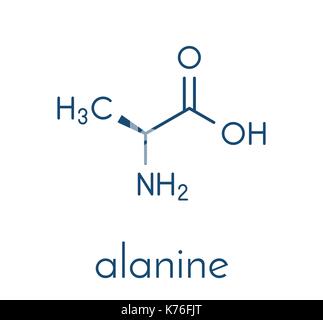 Alanin (L-Alanin, Ala, A) Aminosäure Molekül. Skelettmuskulatur Formel. Stock Vektor