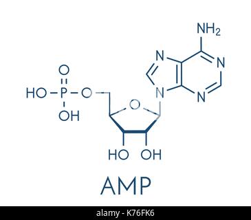 Adenosinmonophosphat (Ampere, adenylic Acid) Molekül. Nukleotid Monomer von RNA. Komponiert von Phosphat, Ribose und Adenin Metaboliten. Skelettmuskulatur Formel Stock Vektor