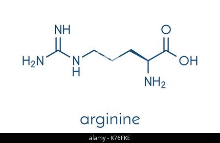 Arginin (L-Arginin, Arg, R) Aminosäure Molekül. Skelettmuskulatur Formel. Stock Vektor