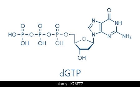 Deoxyguanosine Triphosphat (dGTP) Nucleotide Molekül. DNA-Baustein. Skelettmuskulatur Formel. Stock Vektor