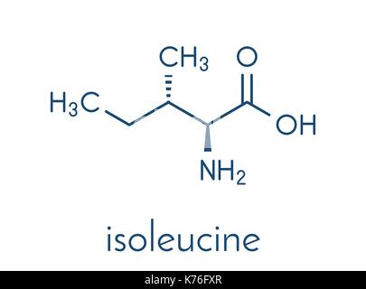 Isoleucin (L-Isoleucin, Ile, I) Aminosäure Molekül. Skelettmuskulatur Formel. Stock Vektor