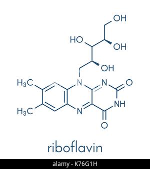 Vitamin B2 (Riboflavin) Molekül. Skelettmuskulatur Formel. Stock Vektor