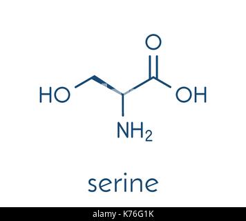 Serin (L-Serin, Ser, S) Aminosäure Molekül. Skelettmuskulatur Formel. Stock Vektor