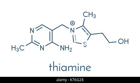 Vitamin B1 (Thiamin) Molekül. Skelettmuskulatur Formel. Stock Vektor