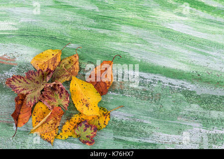 Herbst trocken Cognac verlässt. Haufen von Toten Blatt auf grünen Holz- Hintergrund mit Kopie Raum isoliert. Stockfoto