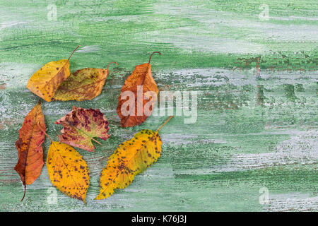 Herbst trocken Cognac verlässt. Haufen von Toten Blatt auf grünen Holz- Hintergrund mit Kopie Raum isoliert. Stockfoto