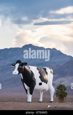 Die große Rinder der Wüste, Armagosa Valley, Nevada, in der Nähe des California State Line und Death Valley Junction Stockfoto