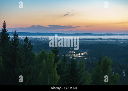Konnu suursoo bog, Luftaufnahme vor Sonnenaufgang, Harjumaa, Estland. Morgen Nebel bleibt über Bäumen Stockfoto