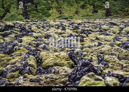 Bereich der vulkanische Lava, Island Stockfoto