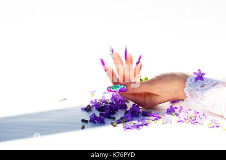 Hand mit Nägeln wieder aufgebaut und geschmückt mit bunten Blumen bringen blauen und weißen Blumen auf weißem Hintergrund, schöne Neuheit für Frühling und Sommer Stockfoto