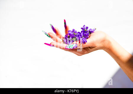 Hand mit Nägeln wieder aufgebaut und geschmückt mit bunten Blumen bringen blauen und weißen Blumen auf weißem Hintergrund, schöne Neuheit für Frühling und Sommer Stockfoto