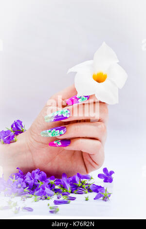 Hand mit Nägeln wieder aufgebaut und geschmückt mit bunten Blumen bringen blauen und weißen Blumen auf weißem Hintergrund, schöne Neuheit für Frühling und Sommer Stockfoto