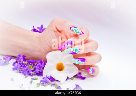 Hand mit Nägeln wieder aufgebaut und geschmückt mit bunten Blumen bringen blauen und weißen Blumen auf weißem Hintergrund, schöne Neuheit für Frühling und Sommer Stockfoto