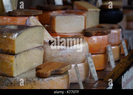 Verschiedene Käse in Packs und Lose verkaufen Auf den Zähler Stockfoto