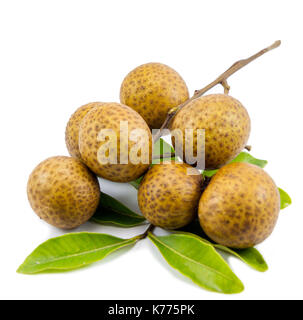 Longan (dimocarpus longan) auf weißem Hintergrund Stockfoto
