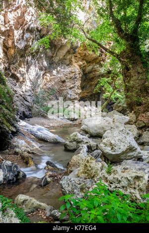 Griechenland, Kreta, Rethymnon, Amari Tal, Patsos, Agios Antonios GORGE (oder Patsos Schlucht) Stockfoto