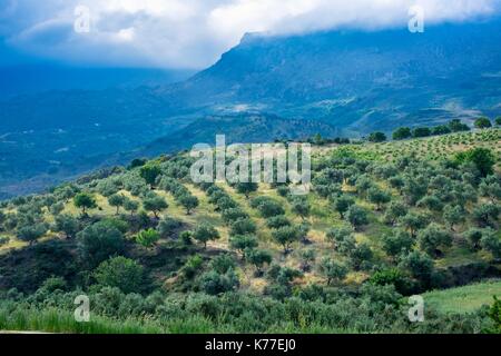 Griechenland, Kreta, Rethymnon, Amari Tal Stockfoto