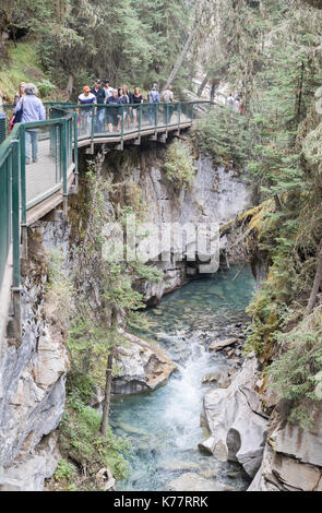 Johnston Canyon, Banff National Park, Alberta, Kanada - 8 September 2017: Wanderer entlang der Laufsteg über den Creek Stockfoto