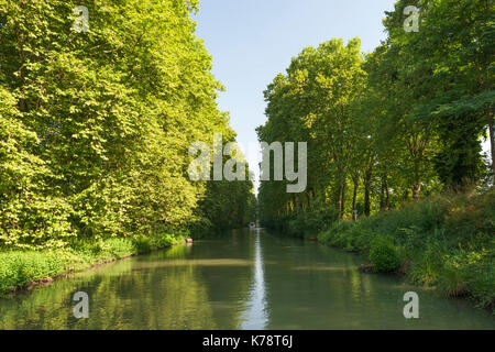 Die von Bäumen gesäumte Canal latéral à la Garonne in der Dordogne im Südwesten Frankreichs. Stockfoto