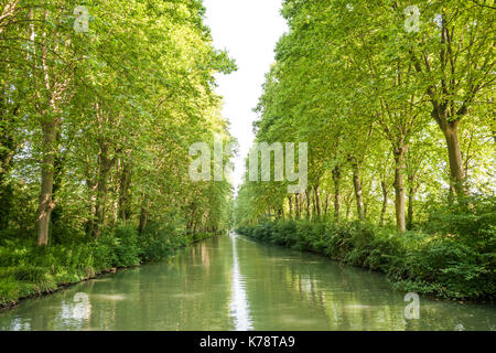 Die von Bäumen gesäumte Canal latéral à la Garonne in der Dordogne im Südwesten Frankreichs. Stockfoto