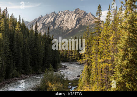 Maligne River zwischen Medicine Lake und Maligne Lake, Jasper National Park, Alberta, Kanada Stockfoto
