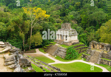 Landschaft im Inneren der Maya Stadt Palenque Stadt seinen grünen üppigen Regenwald und schöne antike Architektur in Chiapas, Mexiko. Stockfoto