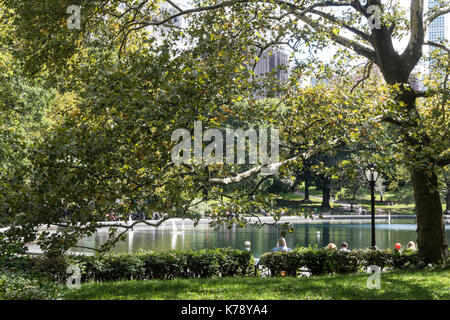 Wintergarten Wasser im Central Park, New York City, USA Stockfoto