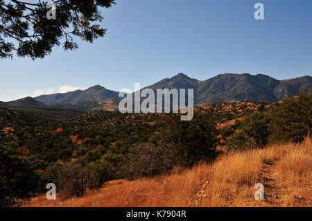 Gardner Canyon, Santa Rita Mountains, Coronado National Forest, Sonoita, Arizona, USA. Stockfoto