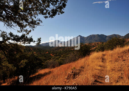 Gardner Canyon, Santa Rita Mountains, Coronado National Forest, Sonoita, Arizona, USA. Stockfoto