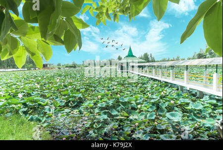 Landschaft der Tempel mit Vögeln und große Wolken Stockfoto