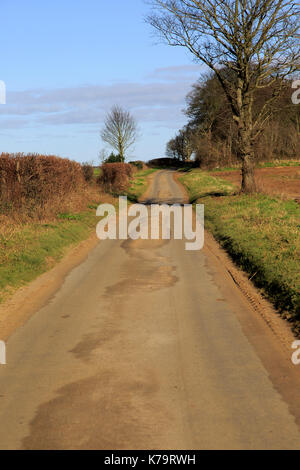 Lange, schmale gerade Asphalt land Straße im Winter Ramsholt, Suffolk, England, Großbritannien Stockfoto