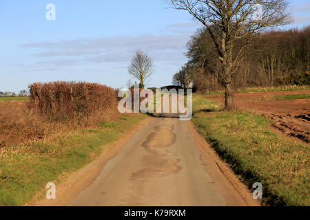 Lange, schmale gerade Asphalt land Straße im Winter Ramsholt, Suffolk, England, Großbritannien Stockfoto