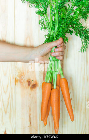 Bündel frische Karotten mit grünen Blättern in der Hand, Holz- Hintergrund. Stockfoto