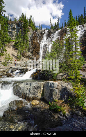 In den Rocky Mountains auf der Autobahn 93 zwischen Jaspoer und Banff in Kanada. Das Gewirr fällt neben der Autobahn nicht weit von der Columbia Icefields. Stockfoto