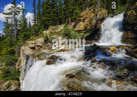 In den Rocky Mountains auf der Autobahn 93 zwischen Jaspoer und Banff in Kanada. Das Gewirr fällt neben der Autobahn nicht weit von der Columbia Icefields. Stockfoto