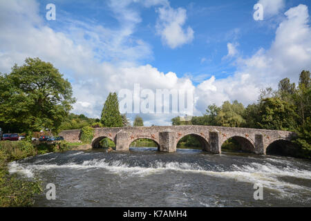 Bickleigh, Devon, Großbritannien. 15. September 2017. UK Wetter. Der Fluss Exe in Bickleigh Brücke in Devon, in der der volle Ölfluß nach Wochen Regen: Simon Maycock/Alamy leben Nachrichten Stockfoto