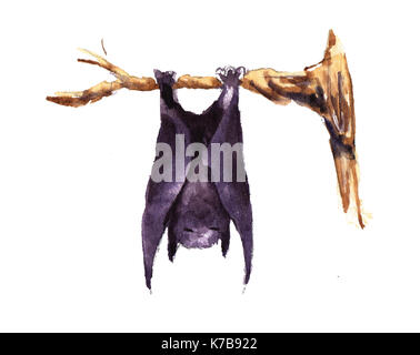 Hand Zeichen halloween Fledermaus auf drei gezeichnet Stockfoto
