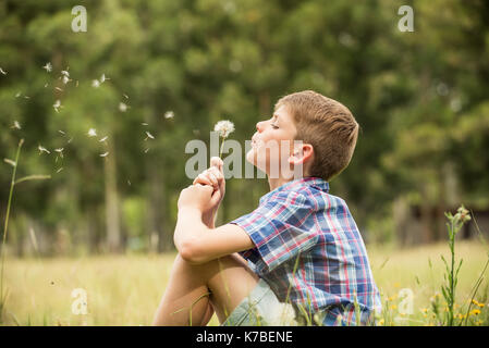 Boy bläst Löwenzahn seedhead Stockfoto