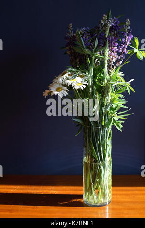 Bündel von sommerblumen im hohen Glas Vase auf dunklen bakground mit Sunbeam Stockfoto