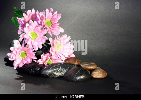 Stillleben mit lila Gerbera Daisy und einige Steine auf dunklem Hintergrund Stockfoto