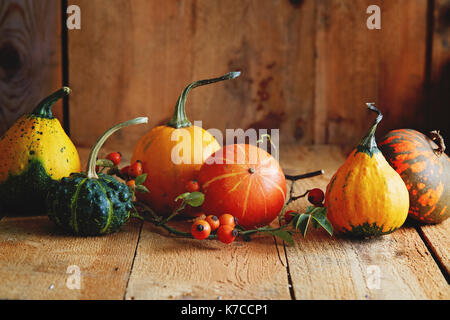 Verschiedene Arten von Kürbis auf einem Holztisch. Herbst Arrangement: dekorative Kürbisse mit Hagebutten Stockfoto