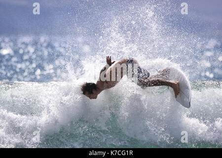 Extreme Action Surfen am Breakwall in Lahaina auf Maui. Stockfoto